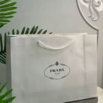 اكياس PRADA